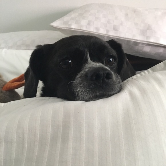 Meet your Posher, Ronite - Picture 1 of 1